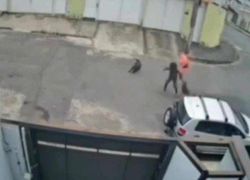 Homem ajuda tutora e cachorro a não serem atacados por pitbull em Juiz de Fora, na Zona da Mata -  (crédito: Câmeras de segurança/Reprodução)