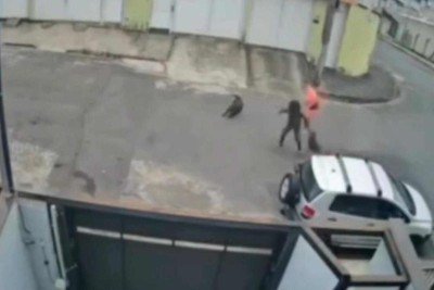 Homem ajuda tutora e cachorro a não serem atacados por pitbull em Juiz de Fora, na Zona da Mata -  (crédito: Câmeras de segurança/Reprodução)