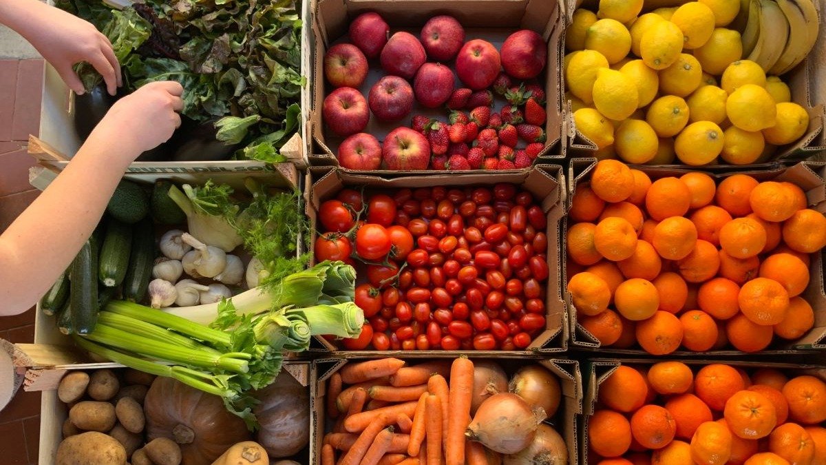 A variedade de frutas e vegetais frescos &eacute; fundamental para compor uma dieta anti-inflamat&oacute;ria e combater doen&ccedil;as cr&ocirc;nicas. -  (crédito: Elimira Lotti de Pexels)