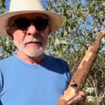 Janja diz que Lula planta mandioca "sem agrotóxicos" e "sem tarifaço" - ReproduÃ?Â§Ã?Â£o/Instagram @janjalula
