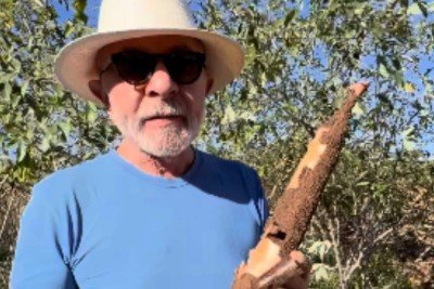 Lula mostra mandioca plantada e colhida por ele em vÃ?Â­deo no Instagram -  (crédito: ReproduÃ?Â§Ã?Â£o/Instagram @janjalula)