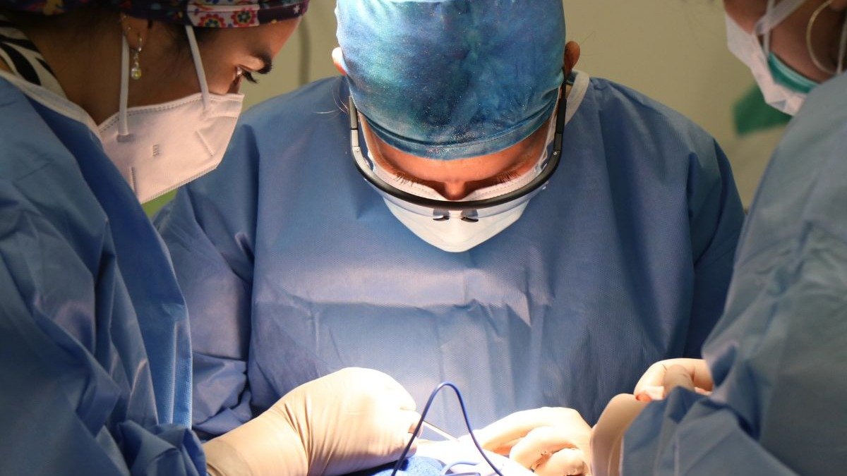 Equipe cir&uacute;rgica em a&ccedil;&atilde;o, ilustrando a complexidade das interven&ccedil;&otilde;es abdominais e os cuidados necess&aacute;rios abordados na reportagem. -  (crédito: Raul Infante Gaete de Pexels)