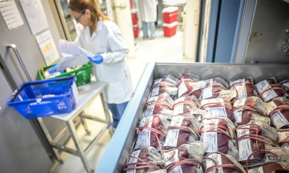 O processo de doação de sangue leva de uma hora e meia e deve ser previamente agendado no Hemominas.-Leandro Couri/EM/DA Press