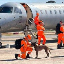 Bombeiros mineiros retornam após missão humanitária na Venezuela - CBMMG