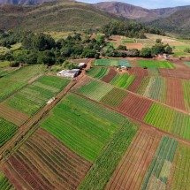Crise do clima abala alimentação e saúde - Mateus Parreiras/EM/D.A Press