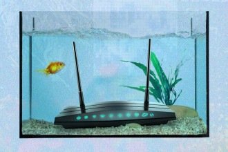 As coisas mais estranhas que podem piorar o sinal de wi-fi da sua casa