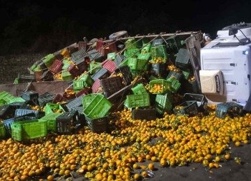 Carga de mexerica ficou espalhada pelo Anel Rodovi&aacute;rio -  (crédito: CBMMG)