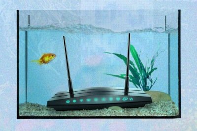 As coisas mais estranhas que podem piorar o sinal de wi-fi da sua casa -  (crédito: Getty Images)