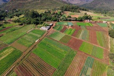  O cinturão verde na Grande BH, que abastece a maior parte do consumo na capital, já vem sofrendo com a falta de água e será colocado à prova com as altas temperaturas -  (crédito: Mateus Parreiras/EM/D.A Press)