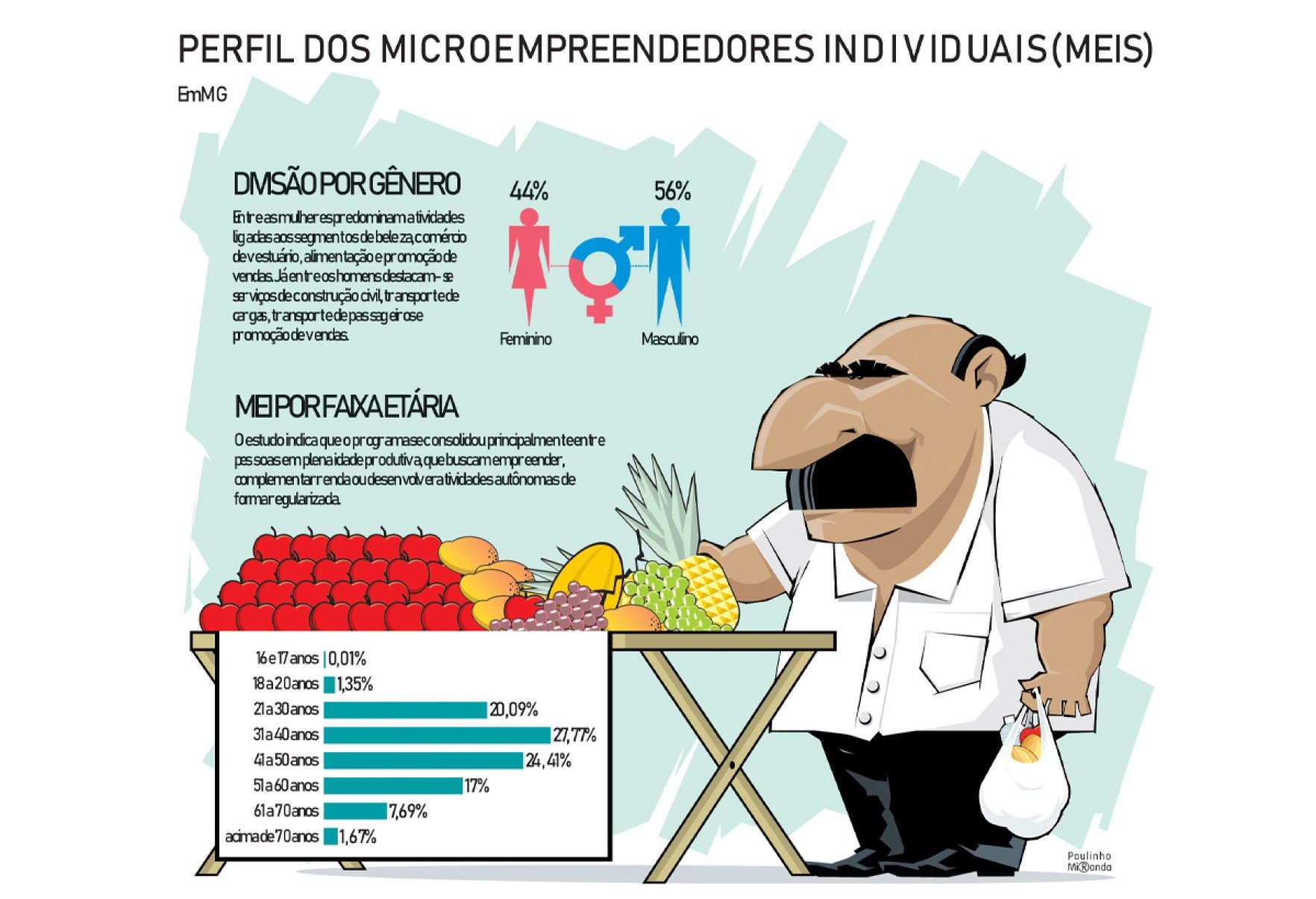 Perfil das MEIs em Minas Gerais
