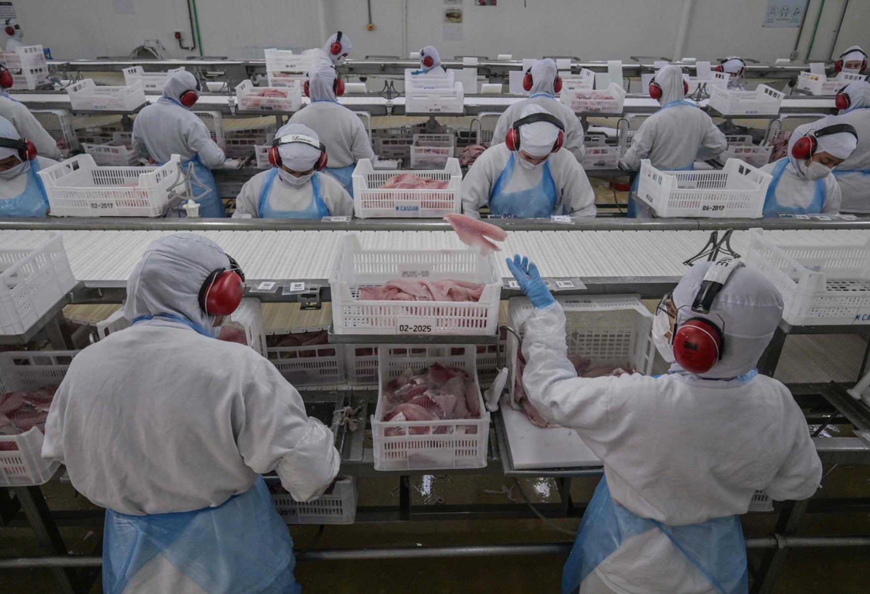 Com demanda em alta, o Brasil produziu mais de 700 mil toneladas de til&aacute;pia no ano passado