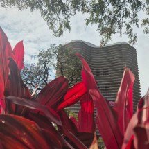 Alerta de frio em BH: temperatura despenca na capital até domingo (19/7) - Jair Amaral/EM/DA Press