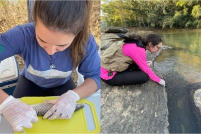 Resultado de estudo integrará o livro 'Recuperação Ambiental da Bacia do Rio Doce: Contribuições da Ciência Após Dez Anos do Rompimento da Barragem de Fundão', que será lançado em setembro

 -  (crédito: Ufla/Divulgação)
