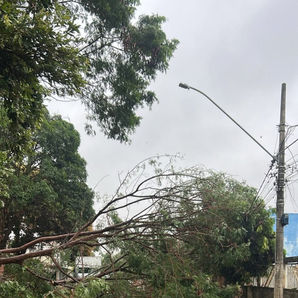 Vídeo: chuva atípica atinge cidades no interior de Minas