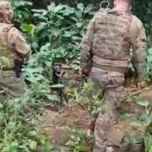 Polícia acha cabeça em possível cemitério clandestino de traficantes no Rio - Tupi