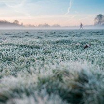 Minas está em alerta de geadas até sexta-feira (17/7) - Freepik 