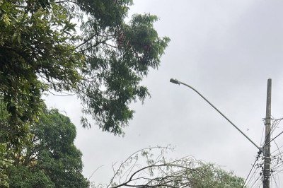 Chuvas que atingiram a cidade derrubam árvores e destelhadam residências. -  (crédito: Defesa Civil de Governador Valadares)
