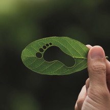 Eficiência Energética com resultados para empresas - DINO