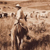 'Grande sertão: Veredas' completa hoje seus 70 anos de travessia - Eugênio Silva/O Cruzeiro/EM.DA Press/1952
