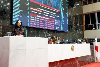 Deputada Ione Pinheiro é a primeira deputada indicada pela ALMG para o cargo de conselheira do TCE-MG -  (crédito: Alexandre Netto/ ALMG)