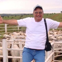 Morre aos 81 anos Vicente Filho, referência na veterinária nacional - Redes Sociais/Reprodução
