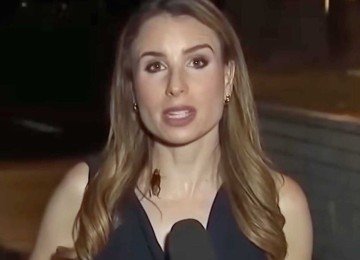 A jornalista Rachel Menitoff mostra profissionalismo durante entrada ao vivo, mesmo com uma barata caminhando em seu pesco&ccedil;o -  (crédito: Redes sociais)