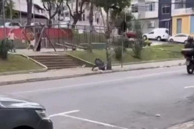 Animal foi largado no lixo no Bairro Santa Terezinha -  (crédito: Reprodução)