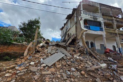Após o resgate, os bombeiros realizaram uma varredura em todo o imóvel com o auxílio de cães para verificar se havia outras vítimas -  (crédito: Defesa Civil/Divulgação)