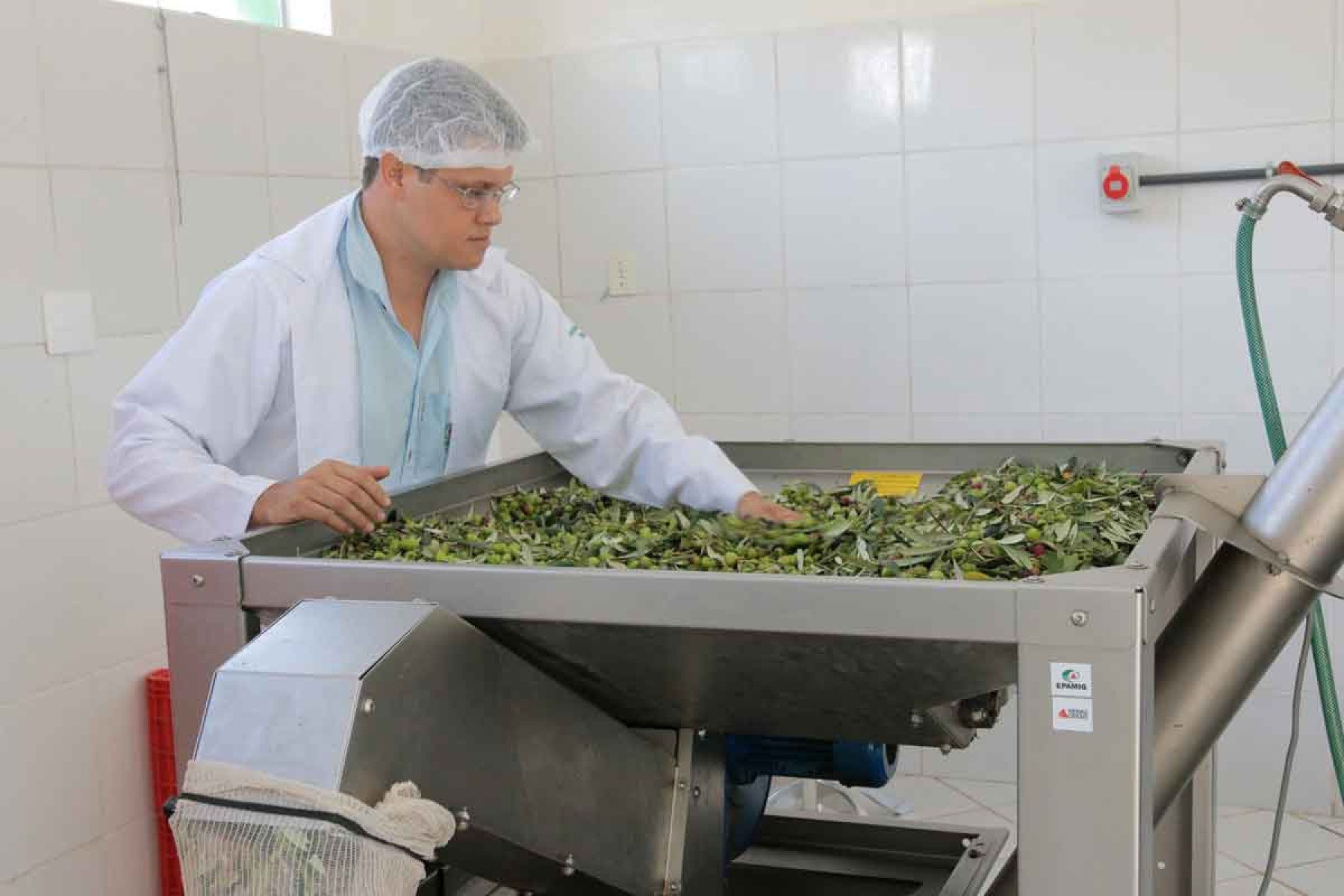  o pesquisador luiz Fernando diante de m&aacute;quina de processamento de azeitonas para a produ&ccedil;&atilde;o de azeite no sul de minas