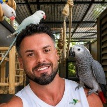 Além da gaiola: tutores transformam o mercado de aves de companhia - PulseBrand