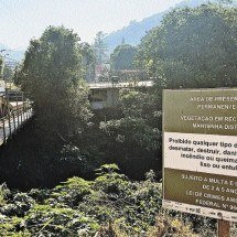 Agressões à fauna e à flora resultam em mais ações judiciais em Minas - Mateus Parreiras/EM/D.A Press