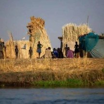 Fome mundial atinge 645 milhões de pessoas, diz relatório da ONU - Foto: FAO/Albert Gonzalez Farran