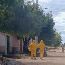 Abelhas se "arrancham" em portão de casa e família deixa o local -  Corpo de Bombeiros/Divulgação