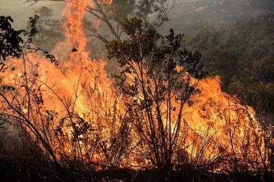 Inc&ecirc;ndio em &aacute;rea de vegetacao: imagem meramente ilustrativa
     -  (crédito: Leandro Couri/EM/D.A.Press)
