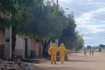 Bombeiros usaram EPIs e roupas especiais para retirar moradores de casa onde abelhas se 'arrancharam', em Ibiaí -  (crédito:  Corpo de Bombeiros/Divulgação)