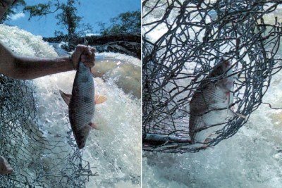 Estrutura causou mortandade de esp&eacute;cies nativas e alterou din&acirc;mica ecol&oacute;gica do rio -  (crédito: MPMG/Divulga&ccedil;&atilde;o)