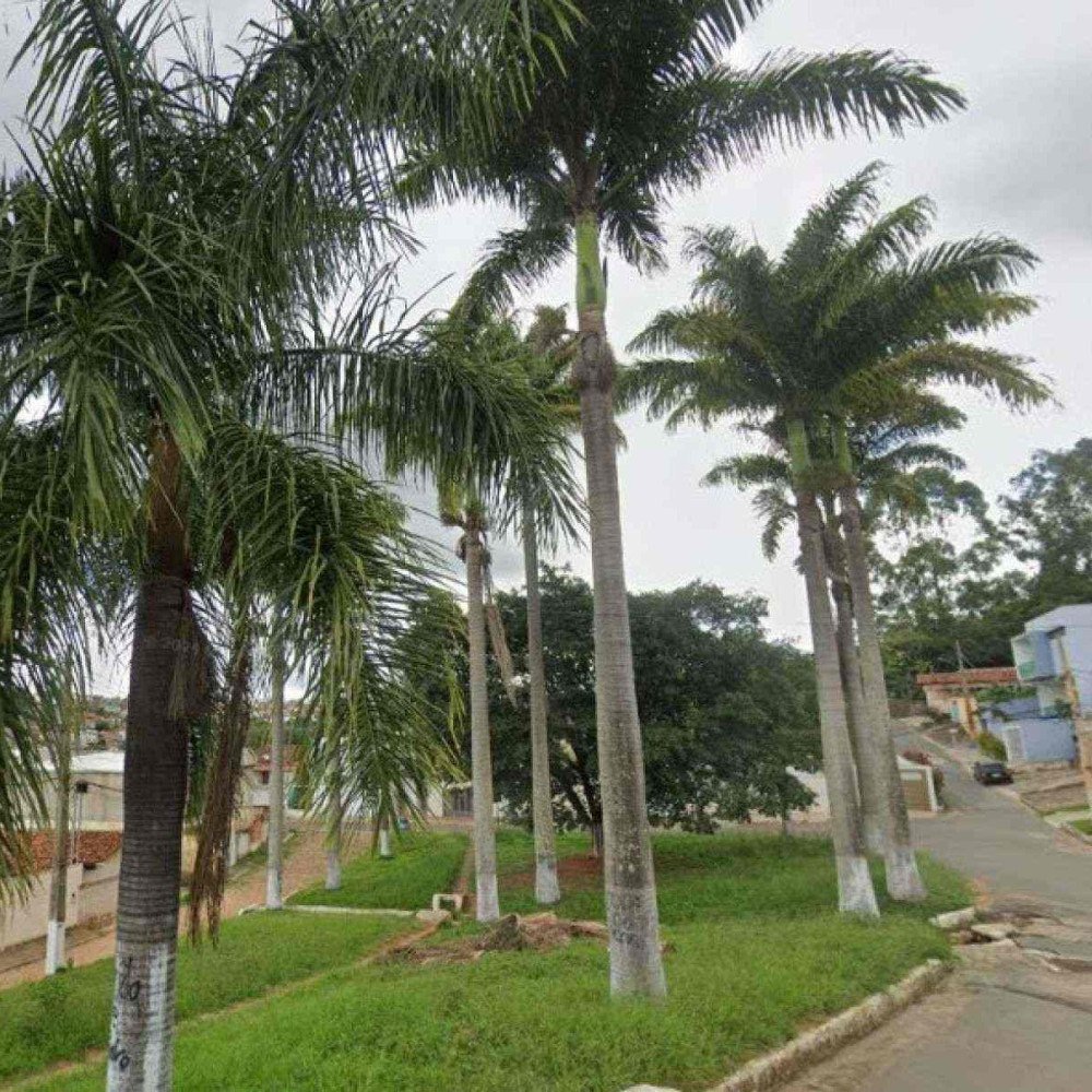 Briga entre irmãos termina em homicídio a pauladas na zona rural