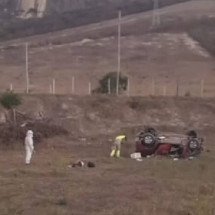 Mulher morre em acidente e abelhas dificultam resgate em MG
