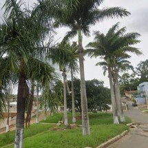 Homem é preso suspeito de matar cão e gato de namorada com marteladas - Divulgação/Google Street View