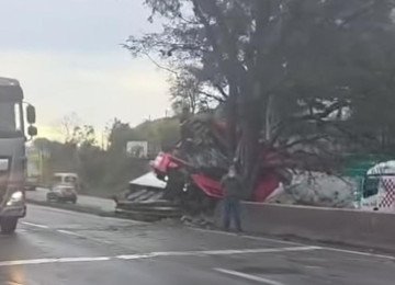 Em Extrema, no Sul de Minas Gerais, o motorista de uma carreta ficou gravemente ferido após bater contra uma árvore na BR-381 -  (crédito: Redes sociais/Reprodução)