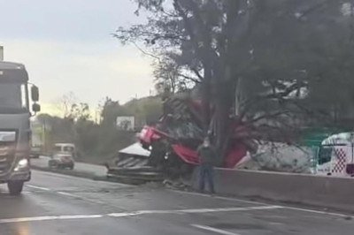 Em Extrema, no Sul de Minas Gerais, o motorista de uma carreta ficou gravemente ferido após bater contra uma árvore na BR-381 -  (crédito: Redes sociais/Reprodução)