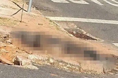 Homem mata cachorro da ex para intimidá-la após fim do relacionamento -  (crédito: Redes Sociais/Reprodução)