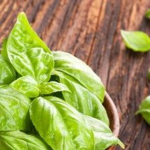Banho de Manjericão: o poder de cura da natureza - Wemystic