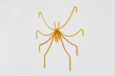 'Artr&oacute;pode': aranha criada com sach&ecirc;s de mel remete ao fluxo de energia e &agrave; complexidade ecol&oacute;gica  -  (crédito: Julia Thompson/Divulga&ccedil;&atilde;o)