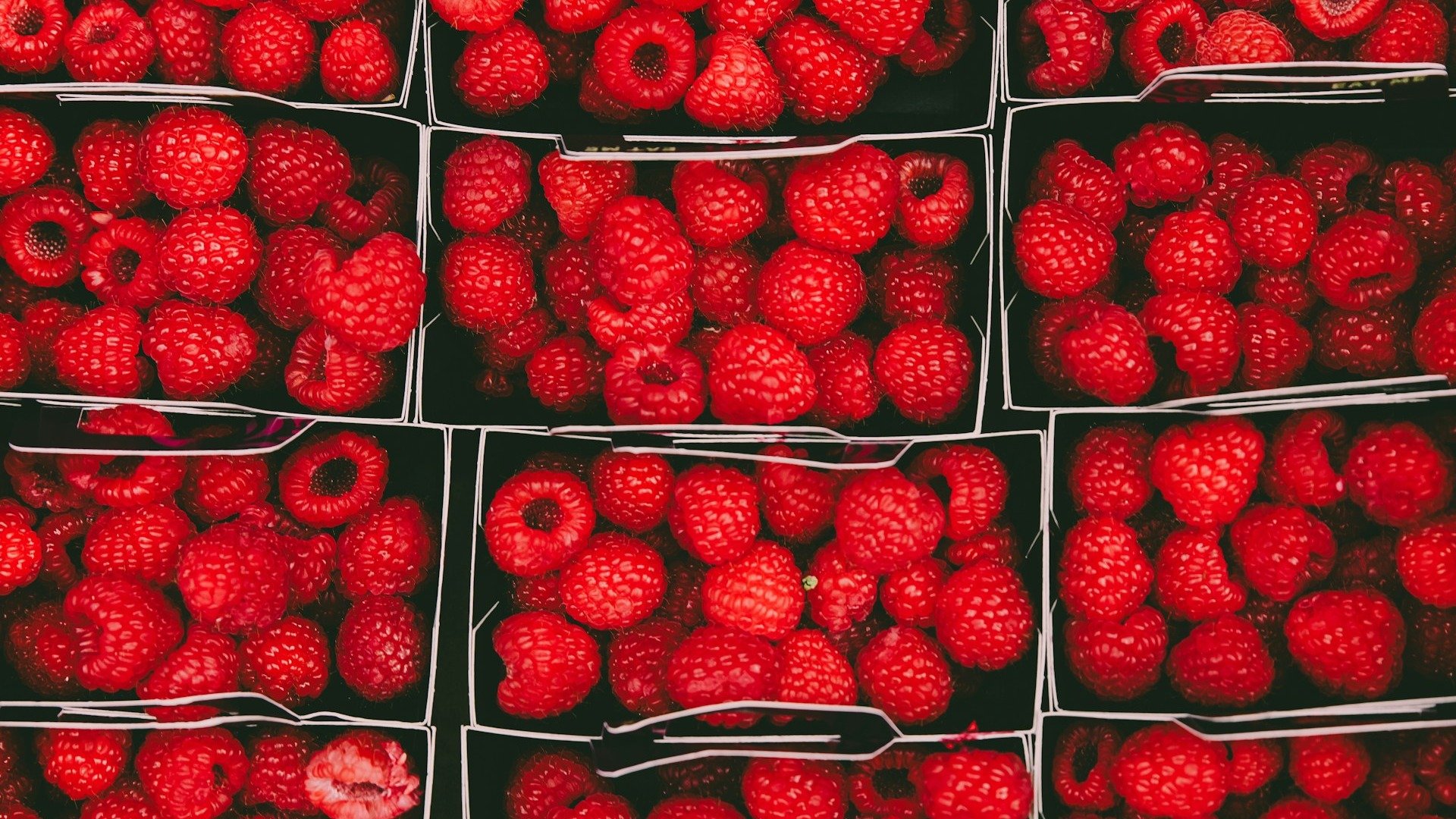 Frutas vermelhas, ricas em antioxidantes, s&atilde;o aliadas na prote&ccedil;&atilde;o cerebral e na preven&ccedil;&atilde;o de doen&ccedil;as como a dem&ecirc;ncia -  (crédito: Unsplash)