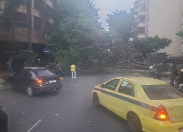 Ventania no Rio derrubou várias árvores e deixa bairros sem energia na tarde desta quarta-feira -  (crédito: Divulgação/Redes Sociais)