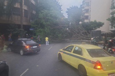 Ventania no Rio derrubou várias árvores e deixa bairros sem energia na tarde desta quarta-feira -  (crédito: Divulgação/Redes Sociais)
