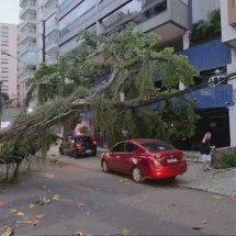 Quase 400 mil pessoas permanecem sem luz no Rio de Janeiro após vendaval - Reprodução/ TV Globo