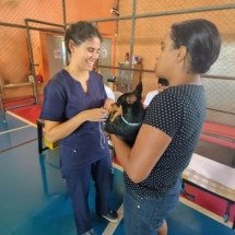 Conheça o projeto "Bora Bicho", que vai realizar 4 mil castrações gratuitas - Divulgação/Marianna Borges