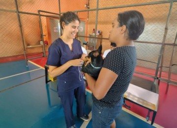 Saiba mais sobre o novo projeto de cuidado à cães e gatos -  (crédito: Divulgação/Marianna Borges)